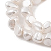 Electroplated Shell Pearl Beads Strands BSHE-C006-02A-3