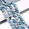 Dyed Synthetic Fossil Beads Strands G-T139-8mm-66G-2