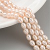 Natural Cultured Freshwater Pearl Beads Strands PEAR-P062-06G-2