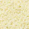 MIYUKI Round Rocailles Beads X-SEED-G009-RR0486-2
