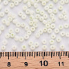 8/0 Opaque Glass Seed Beads X1-SEED-S048-N-010-4