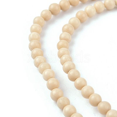Natural Fossil Beads Strands X-G-E110-4mm-2-1
