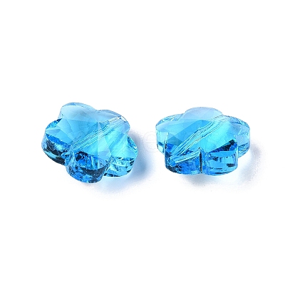 Transparent Glass Beads GLAA-Q066-14mm-C09-1