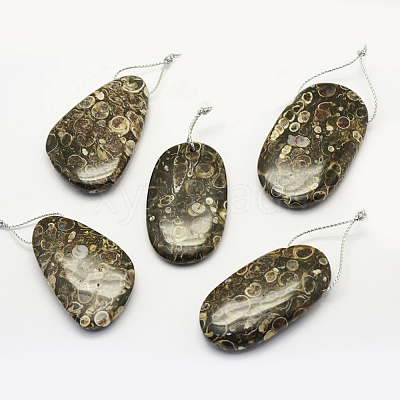 Natural Fossil Pendants G-G694-A-07-1