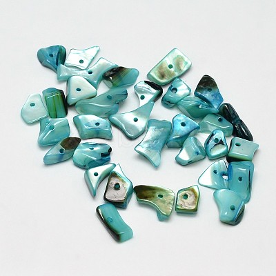 Dyed Natural Shell Nuggets Chips Beads BSHE-O007-04A-1