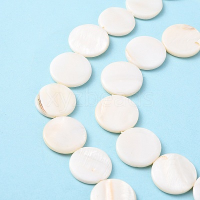 Natural Freshwater Shell Beads S00C20W3-1
