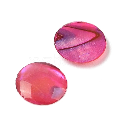 Natural Abalone Shell/Paua Shell Resin Cabochons SSHEL-K003-8MM-01-1