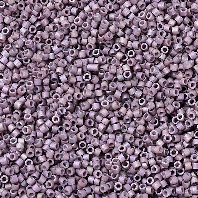 MIYUKI Delica Beads X-SEED-J020-DB1064-1