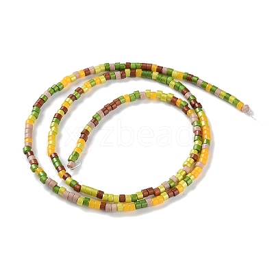 Handmade Lampwork Beads Strands LAMP-L078-008H-1