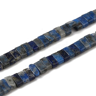 Natural Lapis Lazuli Beads Strands G-Z045-A11-01-1