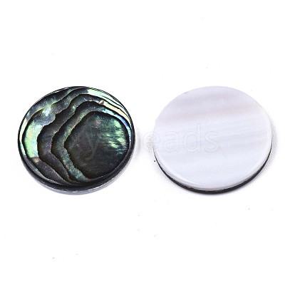 Natural Abalone Shell/Paua Shell Cabochons SSHEL-N034-72C-01-1