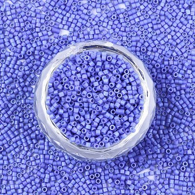 FGB 11/0 Grade A Glass Seed Beads SEED-S030-1010-1