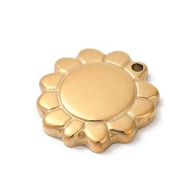304 Stainless Steel Pendants STAS-Z120-01E-G-1