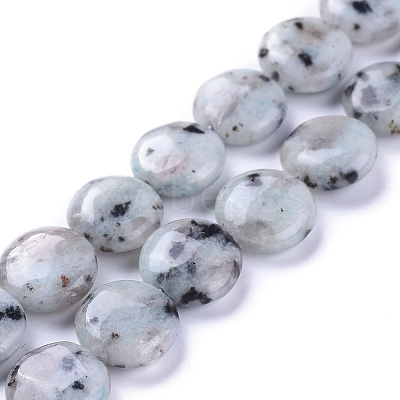 Natural Sesame Jasper/Kiwi Jasper Beads Strands G-G805-D13-1