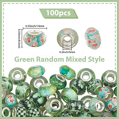 100Pcs Printed Transparent Resin European Beads RESI-PA0001-18A-1
