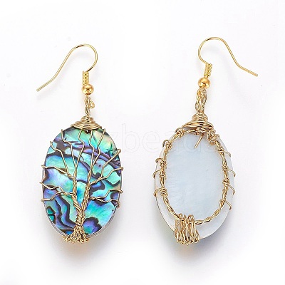 Abalone Shell/Paua Shell Dangle Earrings LS-EJEW-L235-02G-1
