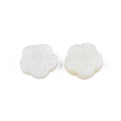 Natural Freshwater Shell Beads SHEL-N026-184-1