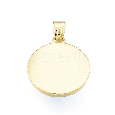 Glass Pendants KK-I691-04G-1