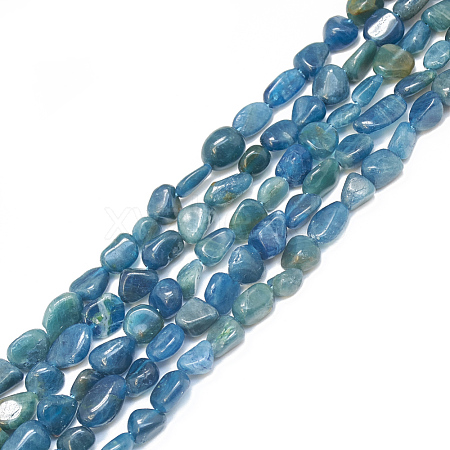 Natural Apatite Beads Strands G-S301-39-1