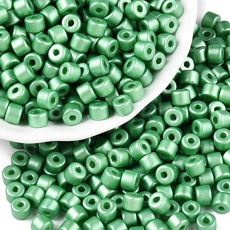 Baking Paint Pearlized Glass Seed Beads SEED-T008-03R-1