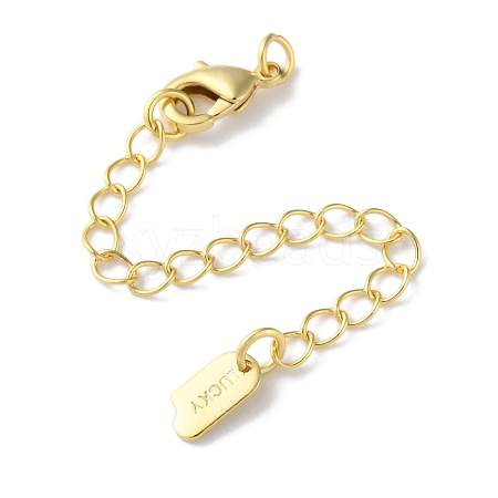 Brass Lobster Clasps & Ends with Chain KK-F880-35G-1