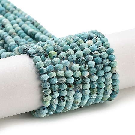 Natural HuBei Turquoise Beads Strands G-G140-B02-03-1