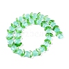 Transparent Glass Beads Strands GLAA-B021-04B-2