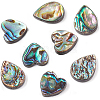 BENECREAT 8Pcs 2 Style Abalone Shell/Paua Shell Beads SHEL-BC0001-013-2