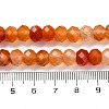 Natural Red Agate(Dyed & Heated) Beads Strands G-K380-A49-07-5