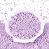 12/0 Baking Paint Glass Round Seed Beads SEED-S036-01A-08-2