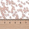 Glass Seed Beads SEED-L011-05B-15-4