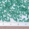 MIYUKI Round Rocailles Beads SEED-JP0008-RR0295-4