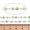 Glass & 304 Stainless Steel Beaded Chains SA-CBAD321-04C-3