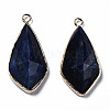 Natural Sodalite Charms G-Q998-029F-2