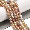 Electroplated Natural Golden Silk Jade Round Beads Strands G-L598-A07-02-2