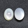 Shell Cabochons SSHEL-P015-59D-2