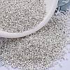 MIYUKI Delica Beads SEED-X0054-DB0551-1
