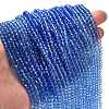 Transparent Painted Glass Beads Strands LS-DGLA-A034-T3mm-A01-2