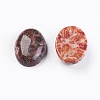 Natural Leopard Skin Jasper Cabochons X-G-LS18x13x10-2