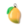 Opaque Resin Fruit Pendants RESI-M039-06-1