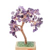 Heart Money Tree Natural Amethyst Bonsai Display Decorations DJEW-G027-16RG-01-4