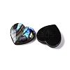 Natural Paua Shell Epoxy Resin Cabochons SSHEL-S279-01D-2