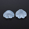 Transparent Baking Paint Glass Pendants LS-DGLA-Q025-002-1