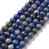 Natural Lapis Lazuli Round Bead Strands G-E262-01-10mm-1