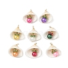 8Pcs 8 Colors Natural Shell & Round Glass Pendants PALLOY-MZ00912-1