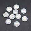 Shell Cabochons SSHEL-E568-B12-2