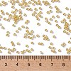 TOHO Round Seed Beads SEED-XTR11-0948-4