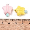 Opaque Resin Imitation Food Decoden Cabochons RESI-H165-10-3