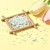 2 Sets Glass Seed Beads DIY-FS0008-27B-10