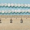 Natural Trochid Shell/Trochus Shell Beads Strands BSHE-Z005-04A-4